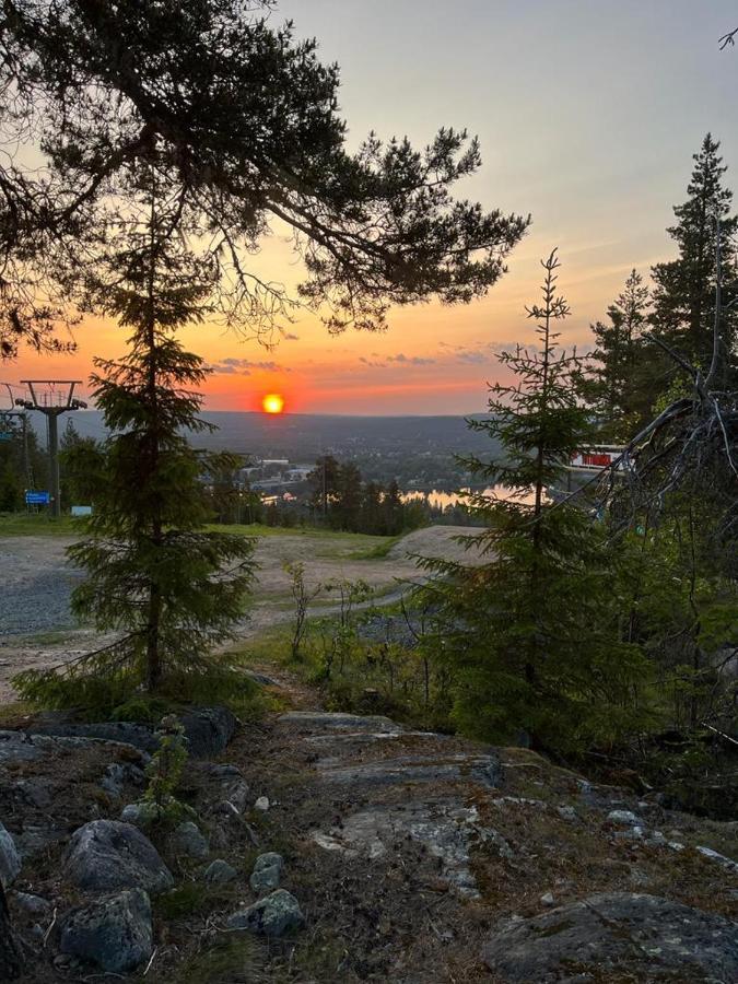 Apt 37 Rovaniemi Kültér fotó