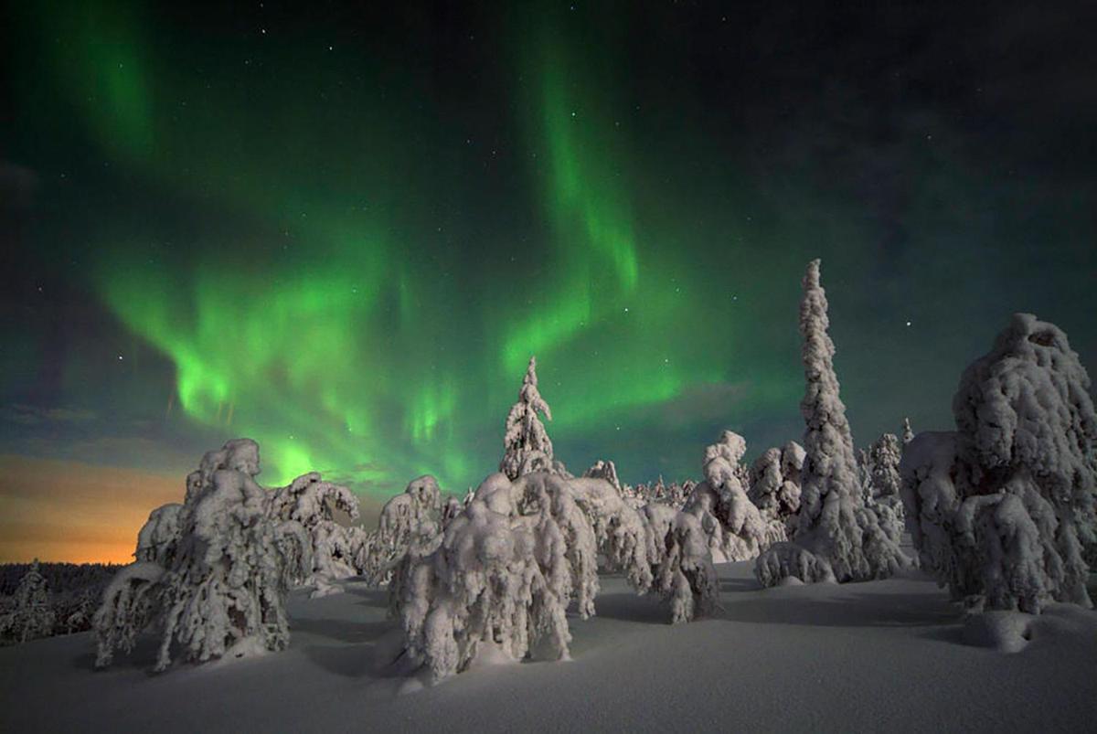 Apt 37 Rovaniemi Kültér fotó